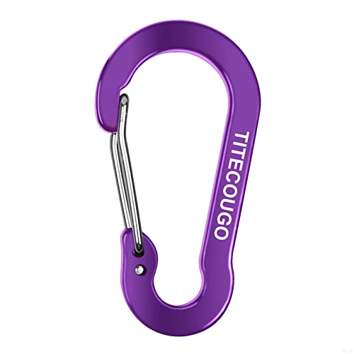 Carabiner Keychain,Aluminum D-ring Locking Carabine D-Shape Lock Snap Backpack Water Bottle Keychain Climbing Gear Accessories EDC Camping Tent Multi Function Tool Multiple Colors Purple 4 Pack