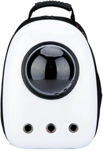 Zeruho L L[ obO ^ybg bN FD ^ h[^  s ړ o ybgpi Jo LpobNpbN |[^uFJvZLobO (ԂyM) ()