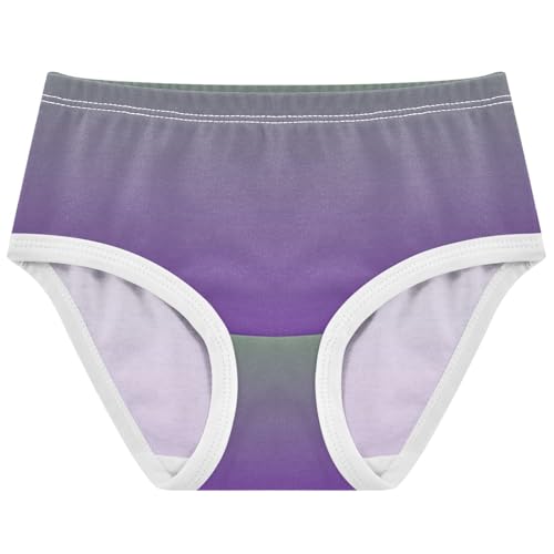 Joisal Girls Underwear Toddler 2t Cotton Cute Panties Girl Bright Briefs Kids Undies Dinosaur Green Purple Gradient