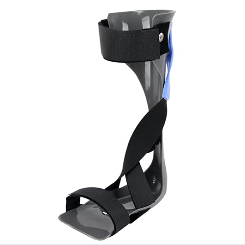 񑕋A ؖAALXFAёꑫ̎Â̂߂̑񑕋T|[g(Left,L)