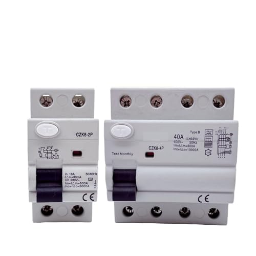 Disjoncteur à courant résiduel Type B 2P 63A 300mA 220V pour rail