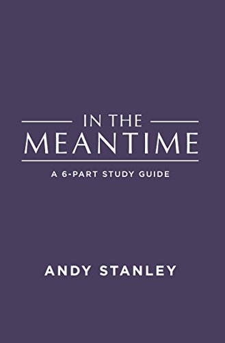 In the Meantime Study Guide 1943535302 Book Cover