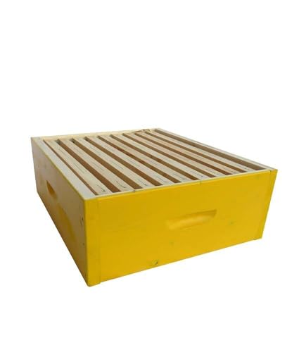 Mondo Ape Melario per Arnia da 10 Favi – con 9 Telaini Infilati – Apicoltura