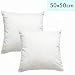 Produktbild Luxusfeder 2er Set Kissen Daunenkissen 50x50 cm, 500 g Daunen, Kissenfüllung, Sofakissen, Innenkissen Daunen, kuschelweich, deutsches Qualitätsprodukt