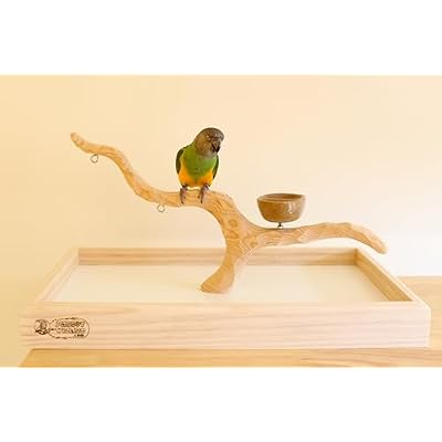 Deluxe Tabletop Perfect Tree (with Bowl) - Tree Stand for Parakeets and Small Parrots