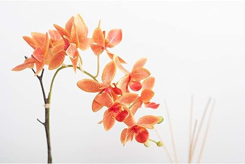 Ensemble de fleurs artificielles orchidée pour décorer buffet