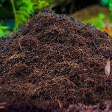 Cocopeat Compost | Soil with Living Microbes | Indoor & Outdoor Plants & Home Gardening-1 Kg (1) (B0C1SY2S1S) Amazon Price History, Amazon Price Tracker