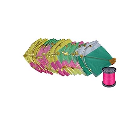Raaya Combo of 20 Pcs Kites for Decoration Patang with Kite Flying Spool Thread for Kite Flying On Lohri Festival/Makar Sankranti for Kids and Adults (Model 3)