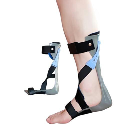 phbvtbgu[XAT|[gAS^CvhbvtbgX^rCU[u[XA`\AyʁAOg\Apnru[cA߉\AK