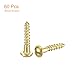 uxcell Wood Screws M2 x 10mm Slotted Round Head Brass Self-Tapping Screw Woodworking Screw 60 Pcs