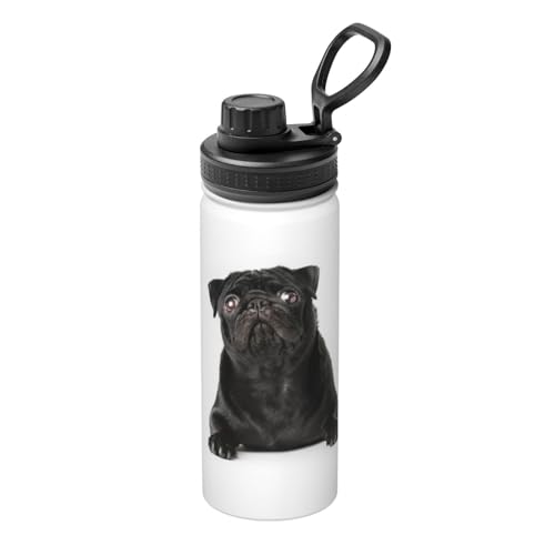  pO  F (1) XeX{g @r 500ml  ۗۉ ^fM X|[c{g e nht ^ Rh~  oR AEghA ʋ ʊw