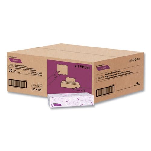 Select Flat Box Facial Tissue 2-Ply White 100 Sheets Per Box 30 Boxes Per Each Carton