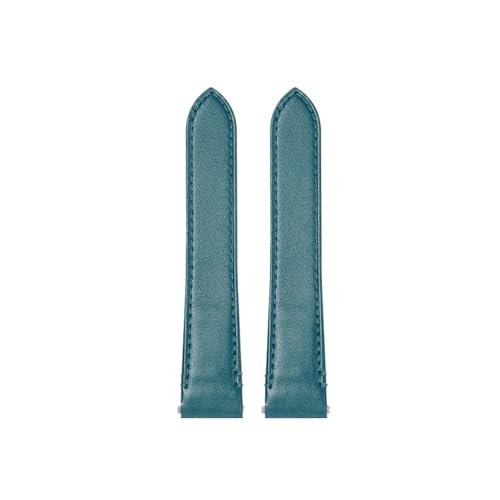 [-ł] JeBG TgX NCbN[X EHb`Xgbv ~fBAXgbv WSSA0010 v[U[EHb`oh YXgoh 19mm 21mm Ή(A green-no buckle,19mm)