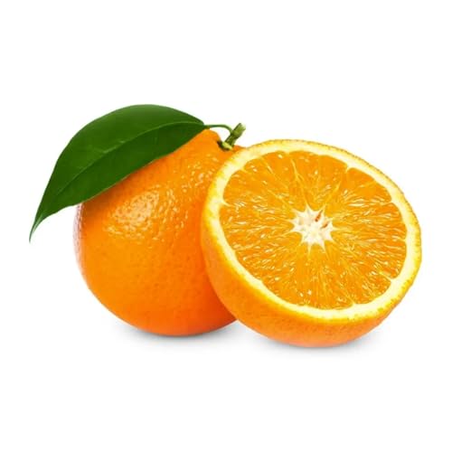 Muda Frutífera de Laranja Açúcar Enxertada