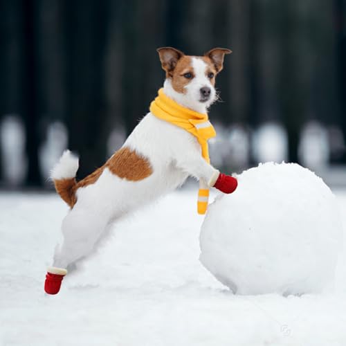 Hundeschuhe Pfotenschutz, Verstellbare rutschfeste Hundeschuhe, Pfotenschutz wasserdichte Schneeschuhe, Hunde Schuhe Outdoor, Pfotenschützer Hundeschuhe für Kleine Mittlere Hunde Herbst Winter (Rot)