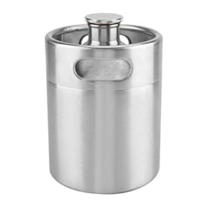 Biervat van roestvrij staal, praktisch mini-biervat met twee handgrepen en spiraalafdekking, robuust, duurzaam en roestvrij, geschikt voor binnen en buiten (2L)