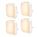 Luce Notturna LED 4 Pezzi Dimmerabile Luce Notturna Bambini con Sensore Crepuscolare Automatiche, IP44 Impermeabile Luce Notturna da Presa per Camere da Letto, Corridoio Bianca Calda&Bianco Freddo