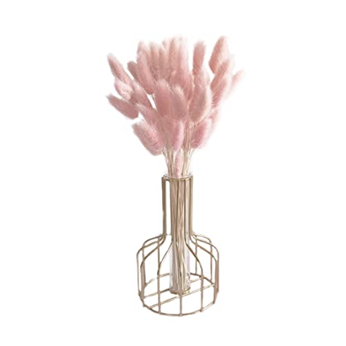 Queue de lapin séchée naturelle fleur rose pour décoration de table bohème