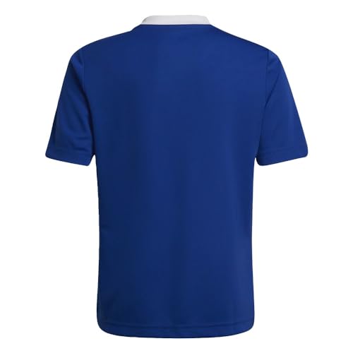 adidas Kids' Entrada 22 Jersey3
