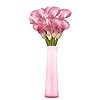 GlobalRose 10 Lavender Mini Calla Lily Responsibly Sourced Lilies Flowers Hand-Picked Flowers Fresh Bouquet for Graduation, Anniversary, Birthday & Special Occasions