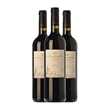 Clos Dominic Clos Petó Priorat Crianza 75 cl Vino tinto (Caja de 3 Botellas de 75 cl)