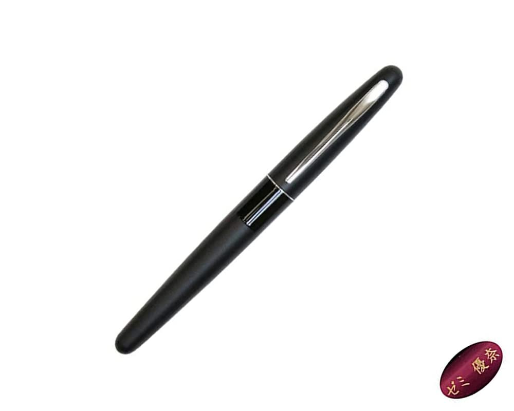 Pilot PILOT Fountain Pen Cocoon FCO-3SR Metallic Gray Both F