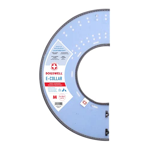 Top 10 Best Dog Recovery Collars of 2023 Review Best Pet Pro