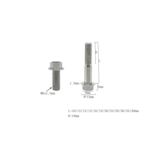 Image of Rison Titanium Flanged Hex Head Bolt M6x1.0x12mm 6AL4V Aerospace Grade Ti Bolt Original Color Pack of 5