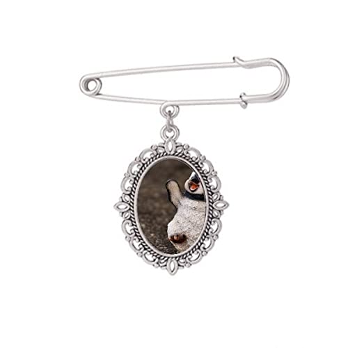 Broche pingouin antarctique pour accessoiriser un châle lors de vos soirées