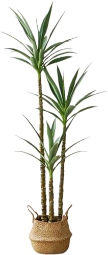 Dohera tFCNO[ϗtA lH tFCNc[ hZitFCNvg z[fR[V vX`bN k y ȒP sv ͂Ȃ CeA ƒp ItBX Ɩp oRj[ (҂ݖ~ 1.6m)