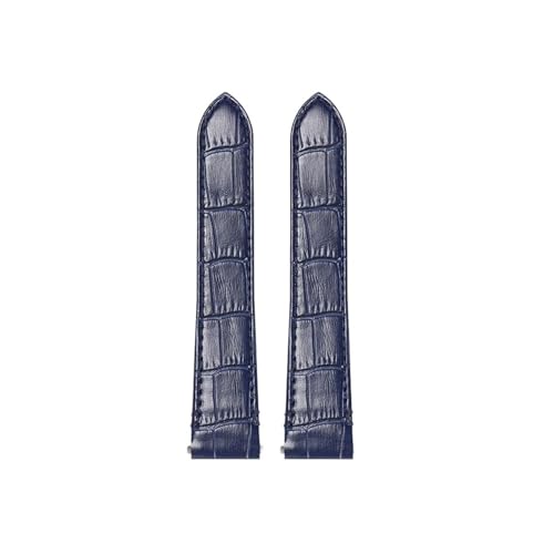 [-ł] JeBG TgX NCbN[X EHb`Xgbv ~fBAXgbv WSSA0010 v[U[EHb`oh YXgoh 19mm 21mm Ή(B Blue-no buckle,19mm)