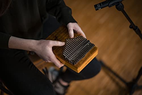 Ortega Kalimba Pouce Piano acoustique – Série Lizard – 17 Touches – Méditation, LoFi – Etui Deluxe, Sacoche, Marteau d… - Les Beatles, Paul McCartney, John Lennon, RIngo Starr, George Harrison Ortega Kalimba Pouce Piano acoustique - Série Lizard - 17 Touches - Méditation, LoFi - Etui Deluxe, Sacoche, Marteau d… – Image 6