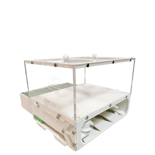 Fazenda de formigas, ninho de formigas e casa, fazenda de insetos estilo gaveta, viveiro de insetos,