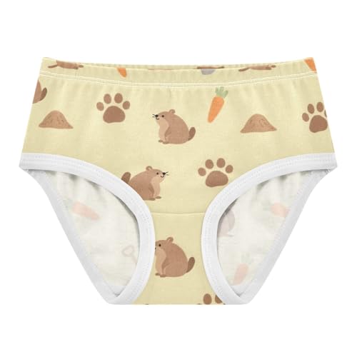 Girls' Underwear Marmot Carrot Toddle Brief Panties 2-8 Years 20300755