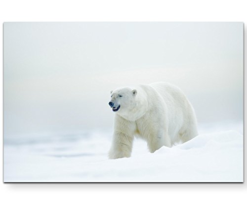 Paul Sinus Art Tableau sur toile tendue Motif ours polaire dans la neige, 120 x 80 cm
