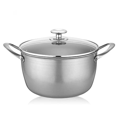 ZOLPINL Cacerola de titanio puro antiadherente, 9.5 pulgadas con tapa de vidrio templado, olla de leche de vidrio sin revestimiento, olla para el hogar, cocina de inducción de gas