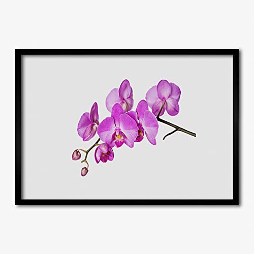 Cadre en MDF avec affiche fleurs d'orchidée Tulup 100x70 cm pour murale haut de gamme