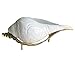 Religious Small Jal Shankh with Pure Brass Shankha Stand for Pooja & Home Décor – Natural Sankha for Spiritual/Ritual Use (Small Size, Pack of 1) Non-Sound Producing Shank