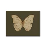 TGRNFHKPYY Canvas Art Poster Vintage White Butterfly Print Dark Moody Insect Saige Green Antique Moth Poster Kitchen and Dining Room Wall Decoration 12x18inch
