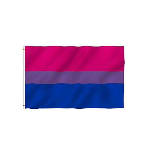 CDKJ Los Colores Brillantes y UV Fading Doble Cosido de poliéster Bandera bisexuales con Accesorios de latón (3 x 5 pies)