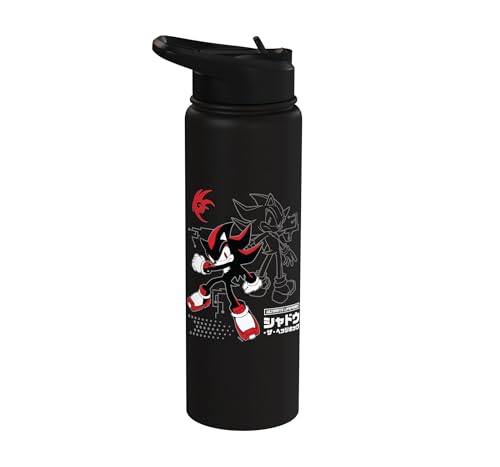 Sonic the Hedgehog Shadow Red Strike Action Pose Stainless Steel Insulated Water Bottle