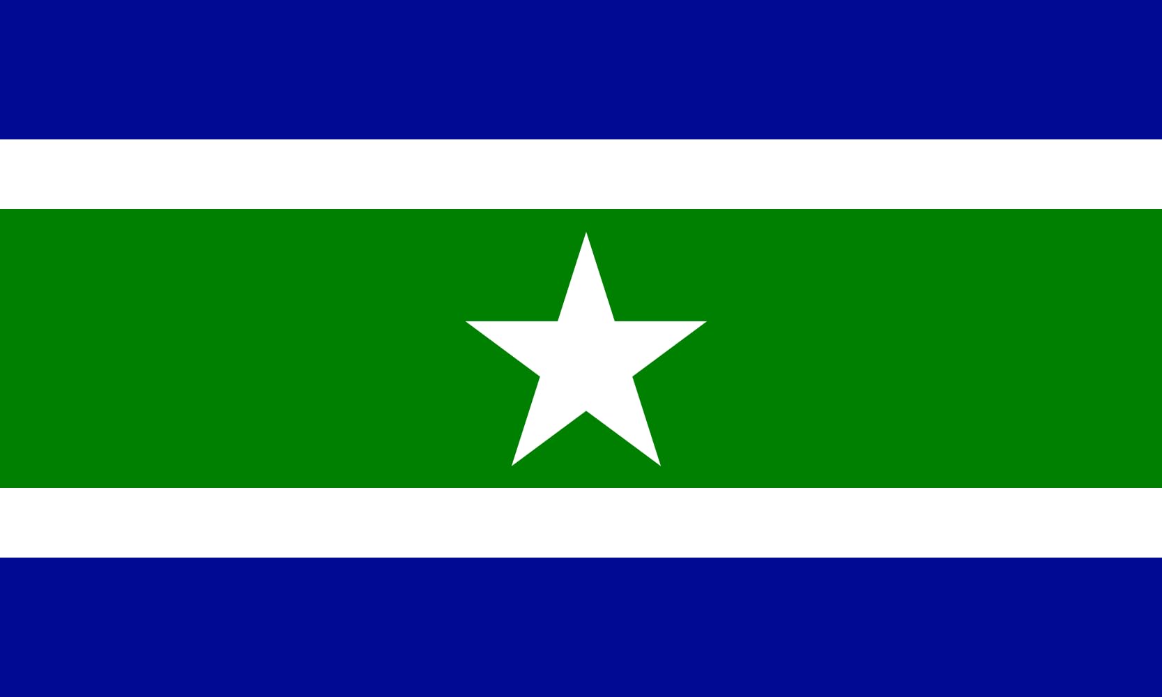 Drapeau Large Blumenstein grand format micronation Principality