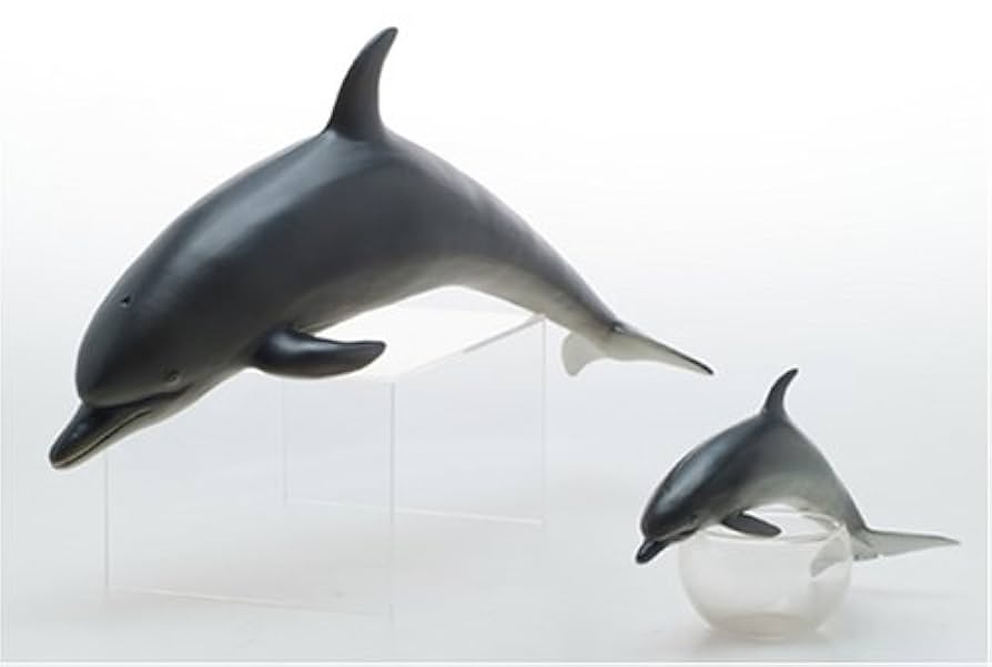 Amazon.co.jp: フェバリット バンドウイルカ FM-303 : Toys & Games