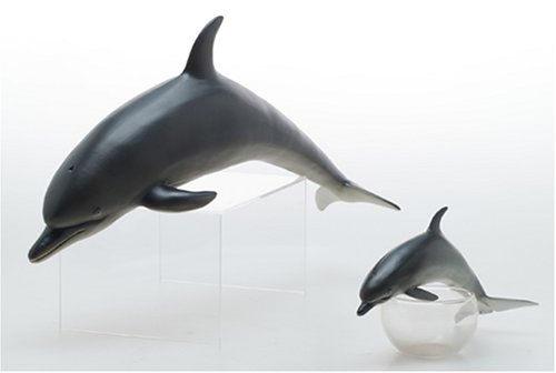 Amazon | フェバリット バンドウイルカ FM-303 | 生物・動物