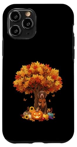 Ӎ H |C^[  t H  X}zP[X iPhone 11 Pro p