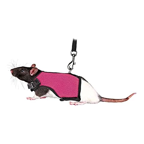 Harnais Trixie 61511 pour rats Cover
