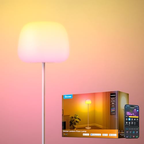 Govee Lantern Floor Lamp