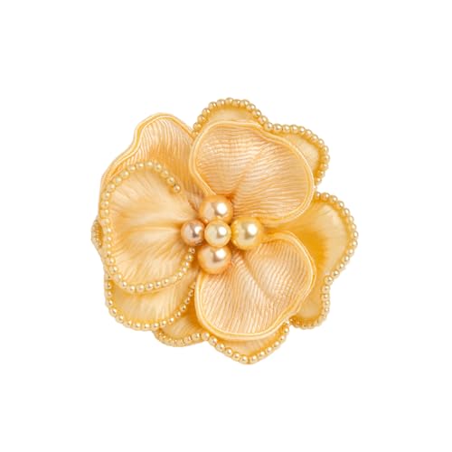 [R de C] u[` RT[W p[ { Nbv Ss  Ǝ  w  tH[} hX ANZT[ CH-111 (IW)