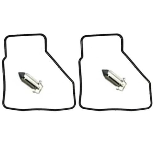 Kit réparation carburateur VT250F VT250 avec flotteur et membrane piston moto