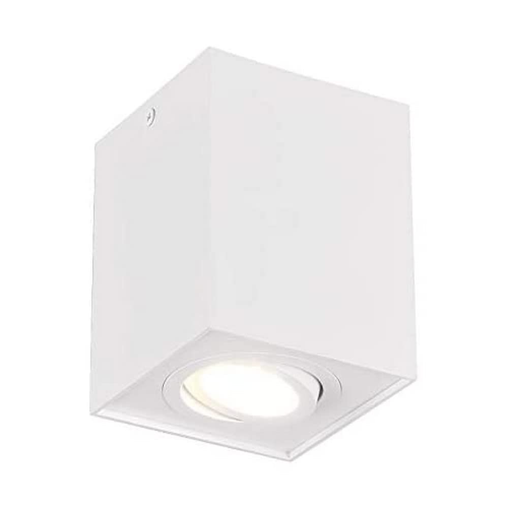 Trio Leuchten Biscuit 613000131 Ceiling Light Matte White Metal 1x GU10